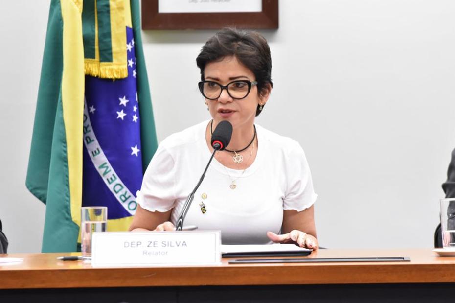 Alê Silva em comissão especial